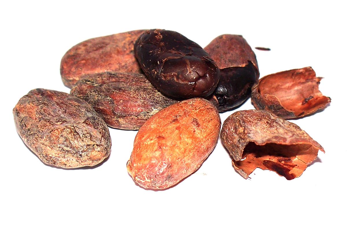  - Kakaové bôby Peru 1000g